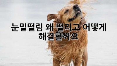 눈밑떨림, 왜 떨리고 어떻게 해결할까요?