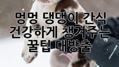 🐶 멍멍! 댕댕이 간식, 건강하게 챙겨주는 꿀팁 대방출! 🦴