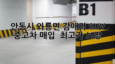 안동시 와룡면 감애리 SUV 중고차 매입 : 최고가 보장!